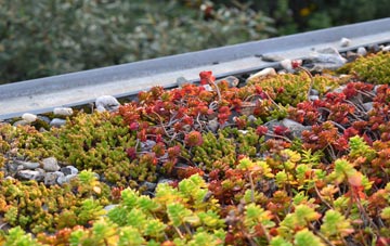 the cost of Islands Common green roof installation