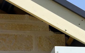 soffit repair Islands Common