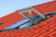 Islands Common roof window
